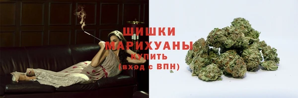дмт Лиски