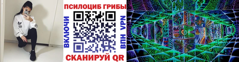 Купить закладки  Йошкар-Ола  Галлюциногенные грибы мухоморы