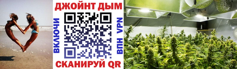 Марихуана гибрид  Купить где  Йошкар-Ола 
